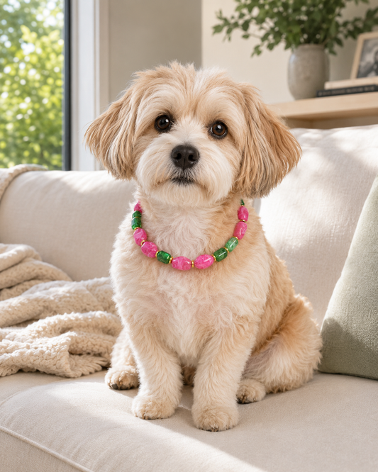 Matching Pet & Owner Beaded Accessory Set – Blossom Pink