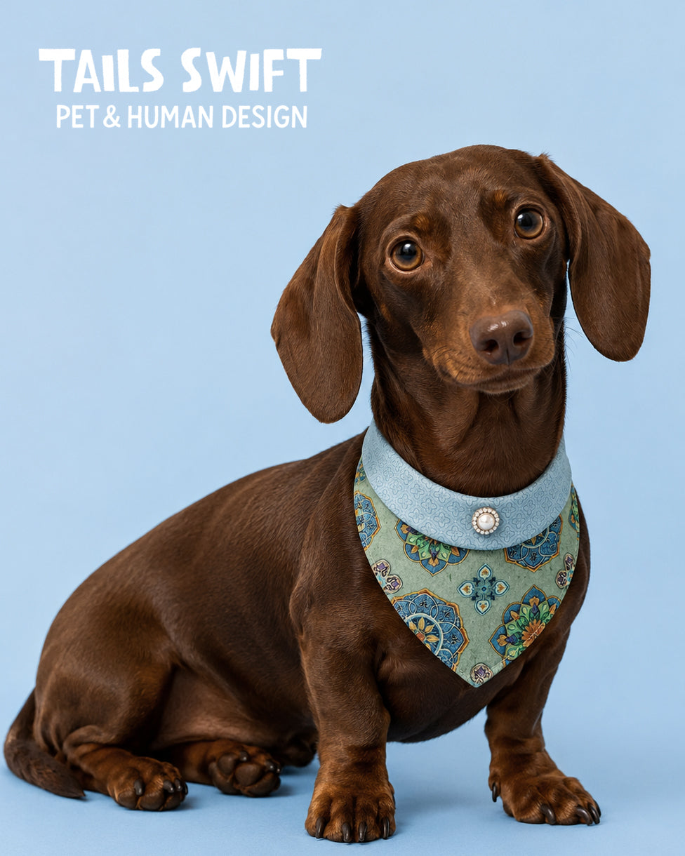 Dusty Sage Pet & Owner Matching Set