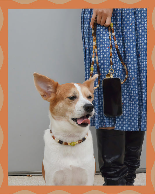 ✨Matching Pet & Owner Jewelry Sets – Handmade with Southeast Asian Beads & Organic Coconut Discs Necklace– Cute by Nature (Sepia Drop)