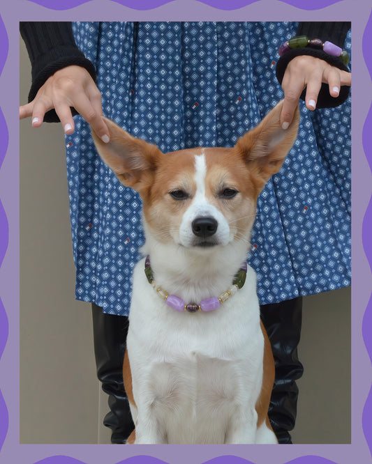 ✨Matching Pet & Owner Jewelry Sets – Handcrafted Bold Beaded Necklaces - Candy Crush(Velvet Purple)