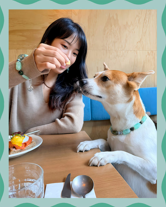 ✨Matching Pet & Owner Jewelry Sets – Handcrafted Bold Beaded Necklaces - Candy Crush(Mint Green)