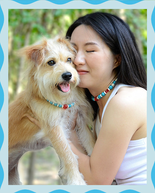 ✨ Pet Jewelry – Handmade Colorful Beaded Necklaces - Color Splash (Lollipop)