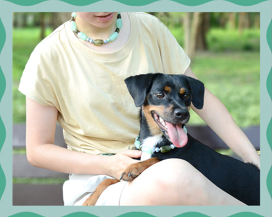 ✨Matching Pet & Owner Jewelry Sets –  Handcrafted Bold Beaded Necklaces - Candy Crush(Mint Green)