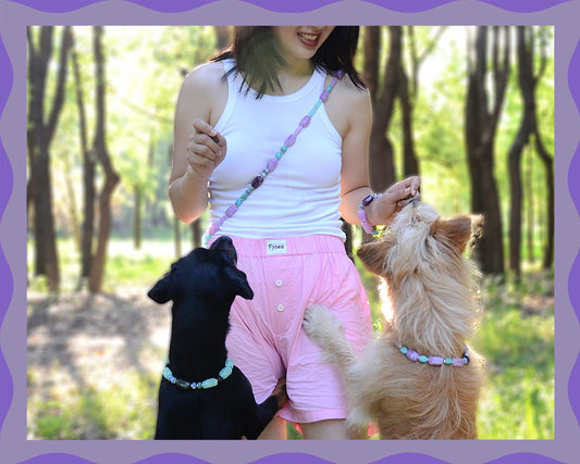 ✨Matching Pet & Owner Jewelry Sets –  Handcrafted Bold Beaded Necklaces - Candy Crush(Violet Haze)