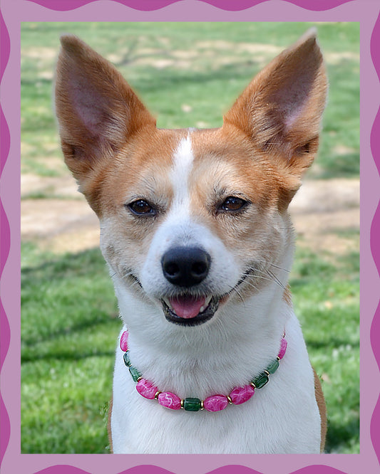 ✨ Matching Pet & Owner Jewelry Sets – Handcrafted Bold Beaded Necklaces -Candy Crush(Blossom Pink)