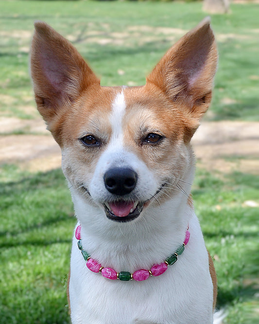 ✨ Matching Pet & Owner Jewelry Sets – Handcrafted Bold Beaded Necklaces -Candy Crush(Blossom Pink)