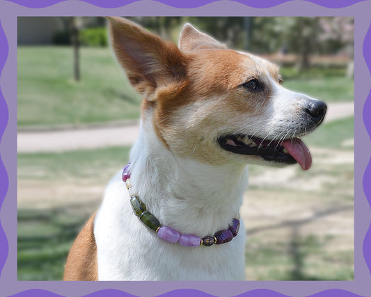✨Matching Pet & Owner Jewelry Sets –  Handcrafted Bold Beaded Necklaces - Candy Crush(Velvet Purple)