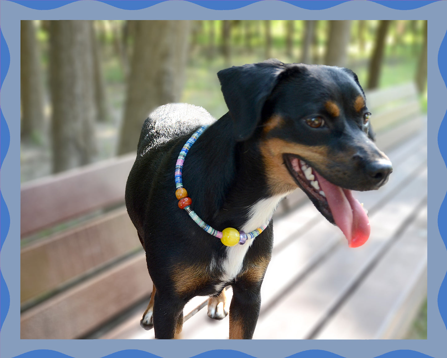 ✨Matching Pet & Owner Jewelry Sets – Handcrafted Vibrant Cord Necklaces – Cord Craze (Blue)