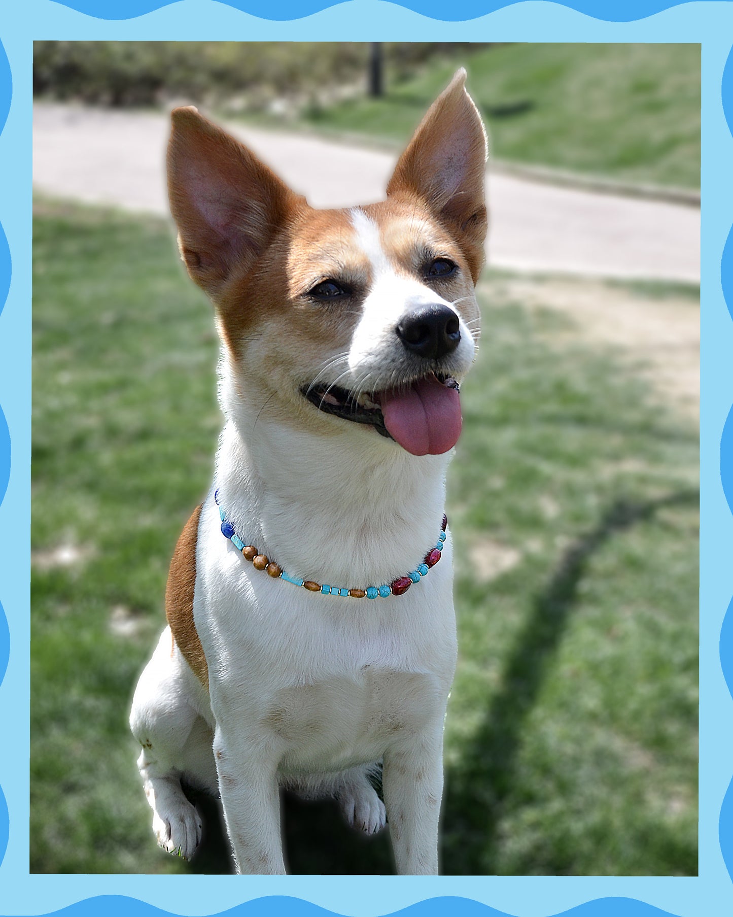 ✨ Pet Jewelry – Handmade with Turquoise Colored Beads Necklace – Cute by Nature (Lake Blue)