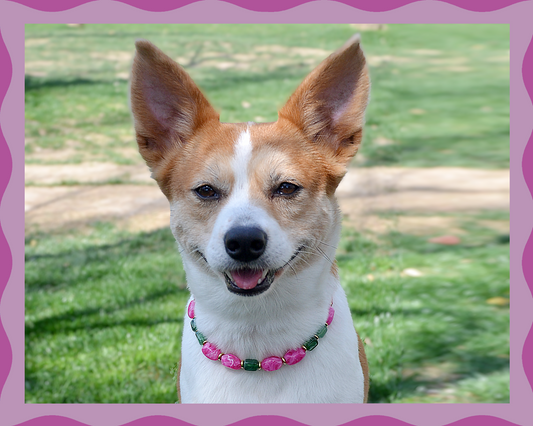 ✨ Candy Crush（Blossom Pink）: Matching Human & Pet Jewelry Sets ✨ Handcrafted Bold Beaded Necklaces • Bracelets • Earrings • Phone Chains | Pet-Friendly • Stylish • Unique