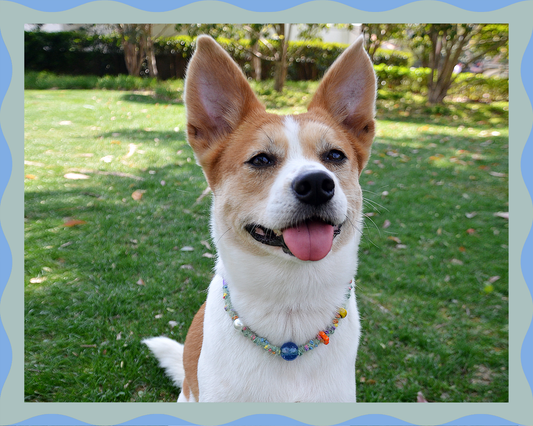 ✨ Pop Flex（Fresh Green）: Matching Human & Pet Jewelry Sets ✨ Handcrafted Colorful Elastic Yarn Necklaces • Bracelets • Earrings • Phone Chains | Beautiful Beads & Handcrafted | Pet-Friendly • Stylish • Unique