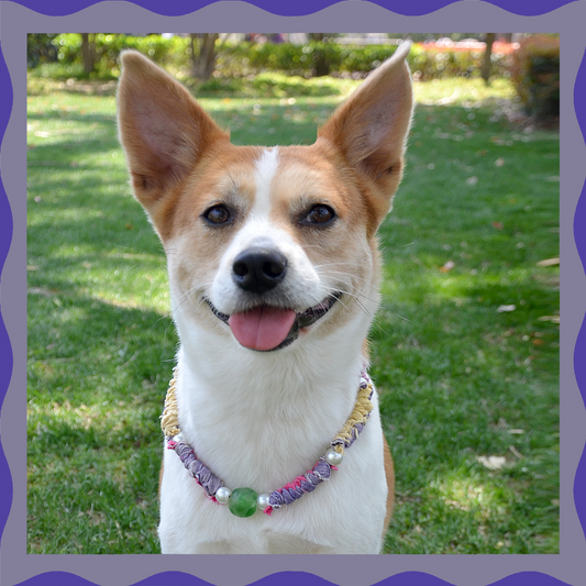 ✨ Luma（Lavender）: Matching Human & Pet Jewelry Sets ✨ Handwoven Colorful Cord Necklaces • Bracelets • Earrings • Phone Chains | Featuring Glass Beads, Boho Fabric & Artificial Pearls | Pet-Friendly • Stylish • Unique