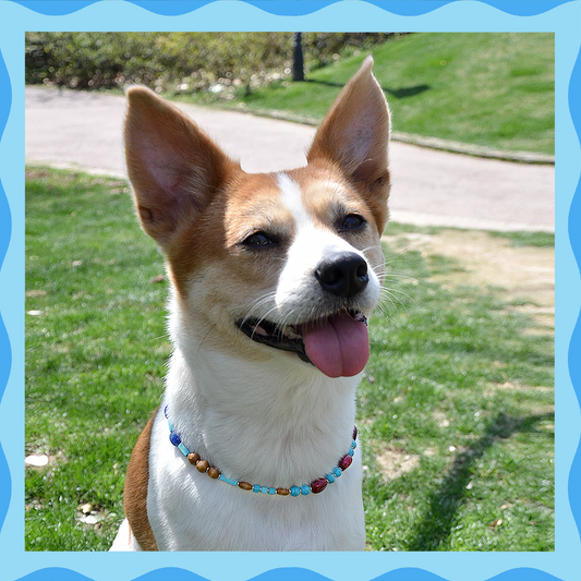 ✨ True Natural (Lake Blue): Matching Human & Pet Jewelry Sets ✨ Handcrafted Beaded Necklaces • Bracelets • Earrings • Phone Chains | Featuring Turquoise Like & Wooden Beads |Pet-Friendly • Stylish • Unique