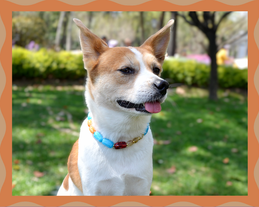 ✨ Candy Crush（Blue Aegean）: Matching Human & Pet Jewelry Sets ✨ Handcrafted Bold Beaded Necklaces • Bracelets • Earrings • Phone Chains | Pet-Friendly • Stylish • Unique