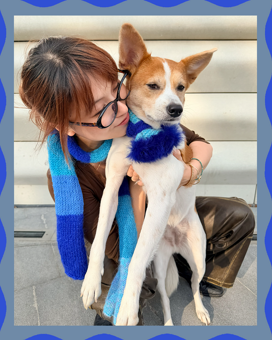 ✨Skinny Knit Pet Scarf – Handmade Ocean Stripe (Mohair Blend)