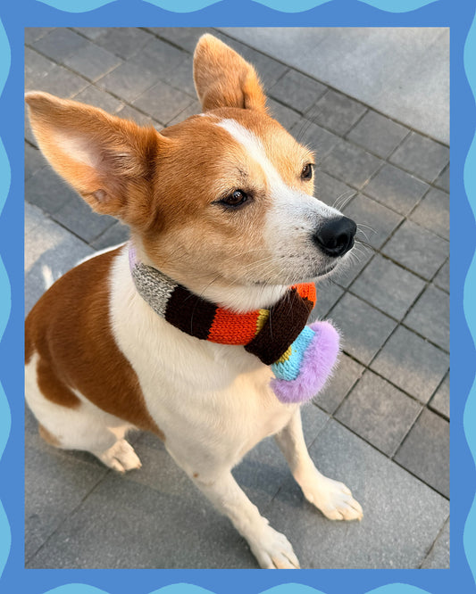 ✨Skinny Knit Pet Scarf – Handmade Caramel Stripe(100% Premium Cashmere)