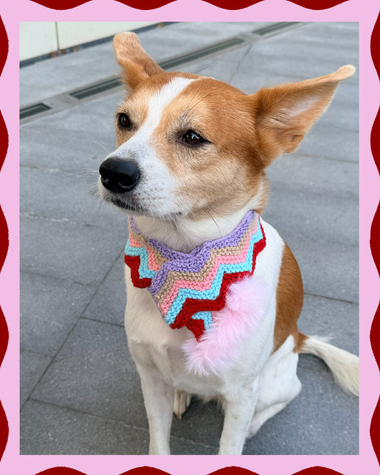 ✨Matching Pet & Owner Wave Knit Scarves — Handmade Marshmallow(100% Premium Cashmere)
