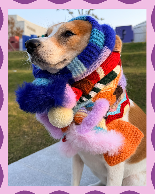 ✨Matching Pet & Owner Skinny Knit Scarves — Handmade Ocean Sripes (Mohair Blend)