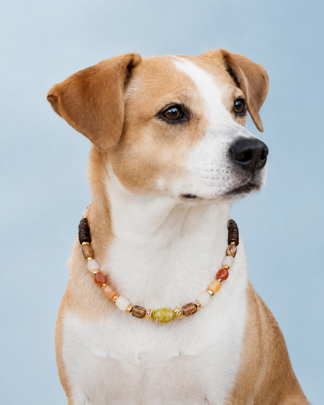 Conjuntos de joyas a juego para mascotas y dueños: hechos a mano con cuentas del sudeste asiático y discos de coco orgánico. ¡Curiosidad natural! (gota sepia)