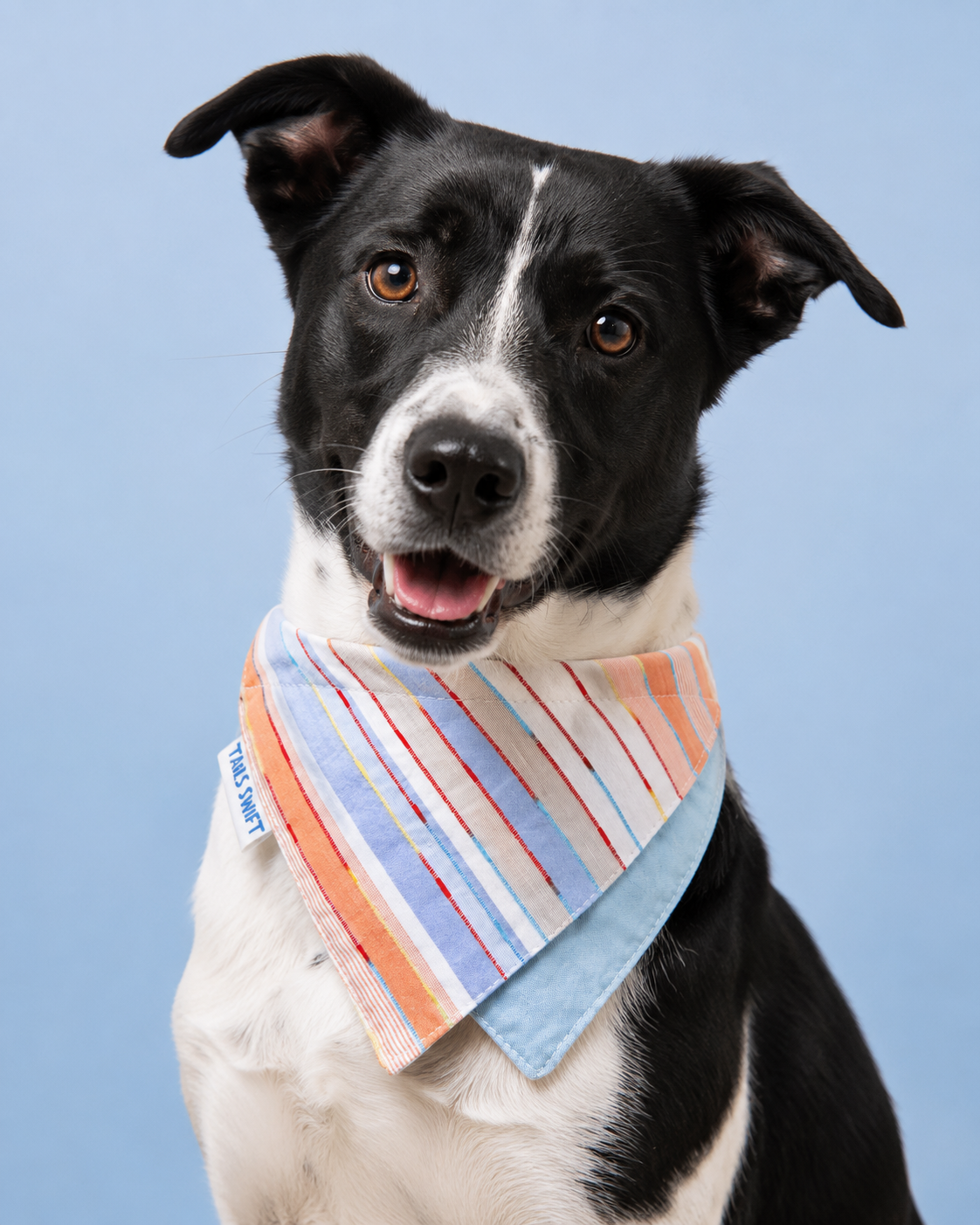 Pet Bandana