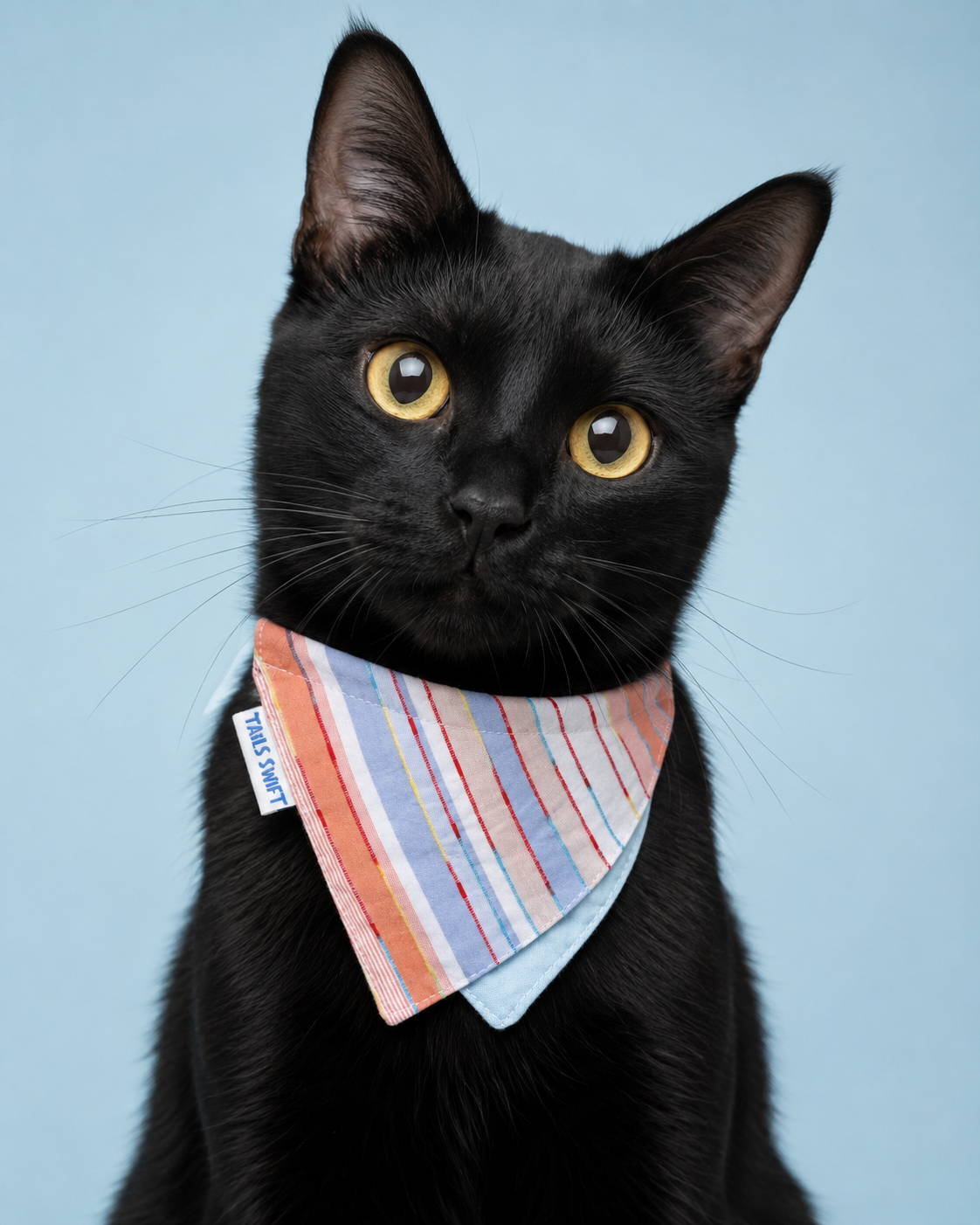 Sunrise Stripe Pet Bandana