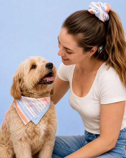 Sunrise Stripe Pet Bandana