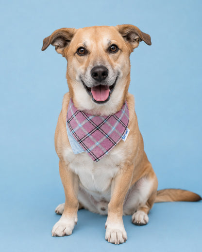 Matching Pet Bandana & Owner Scrunchie Set - Dusty Rose Boucle Plaid