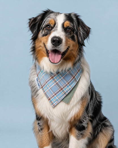 Coastal Blue Plaid Pet Bandana