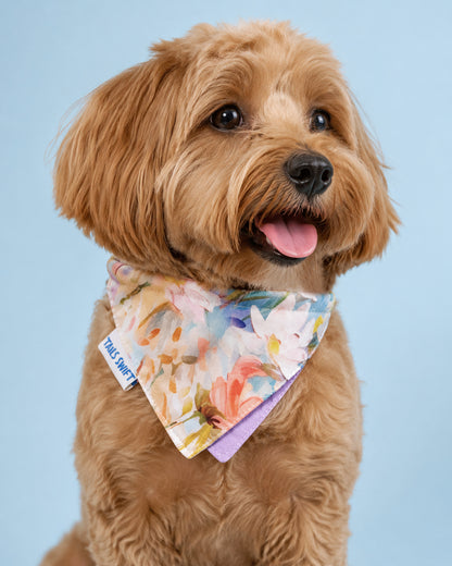 ✨반려동물 &amp; 주인용 쥬얼리 세트 - 핸드메이드 컬러풀 비즈 목걸이 - 컬러 스플래시 (롤리팝)