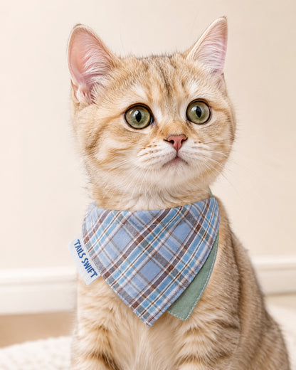 Coastal Blue Plaid Pet Bandana