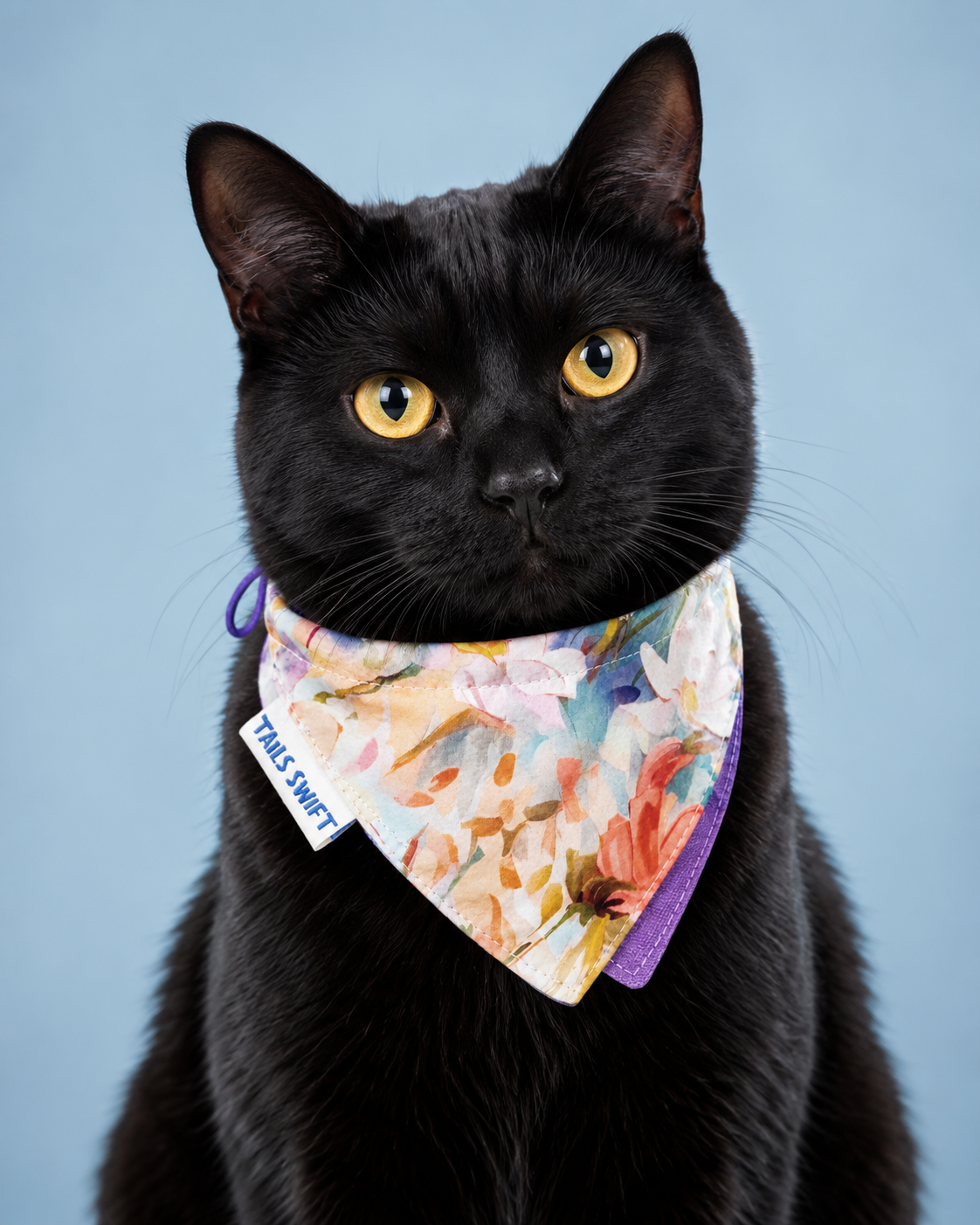 Pet Bandana