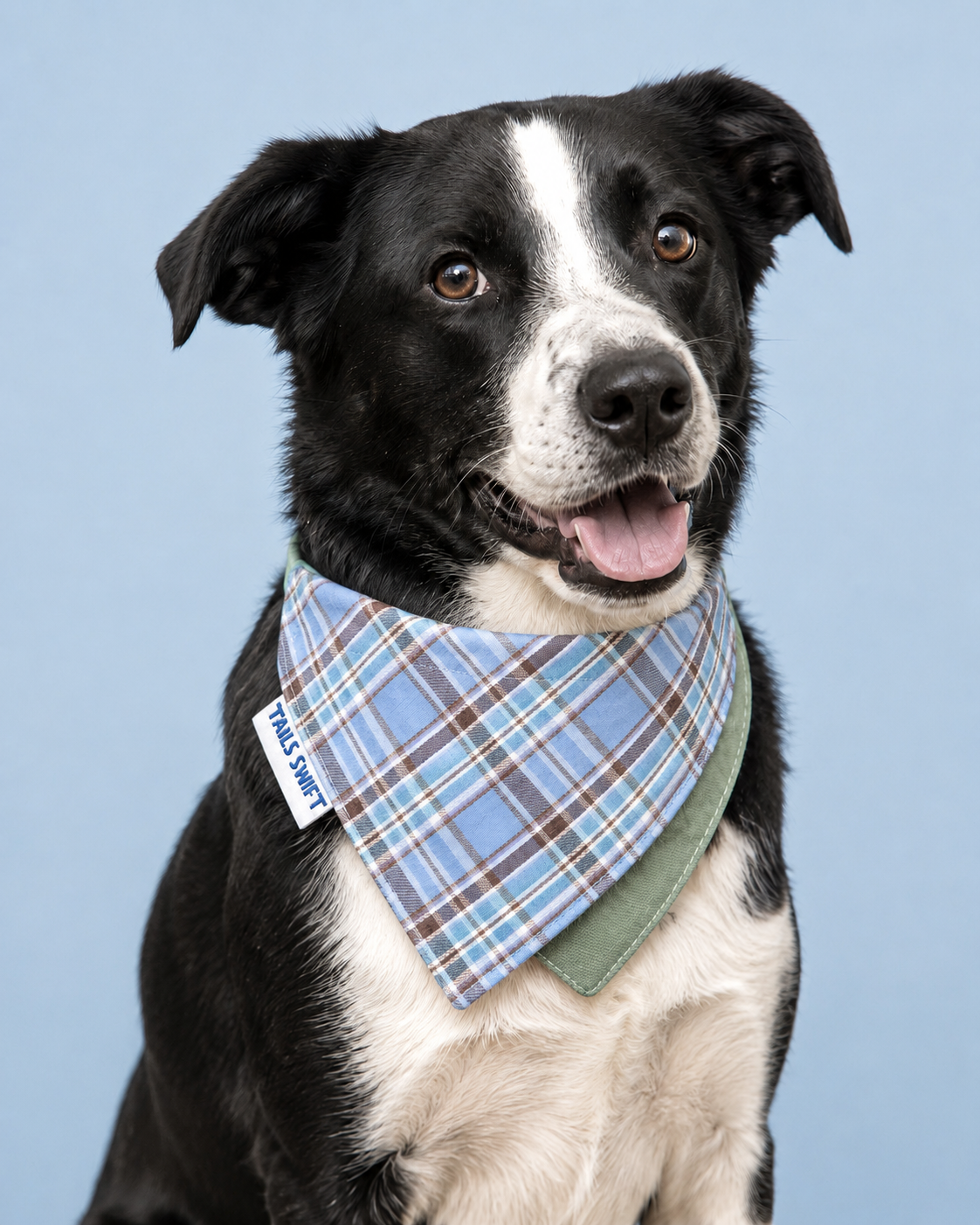 Pet Bandana