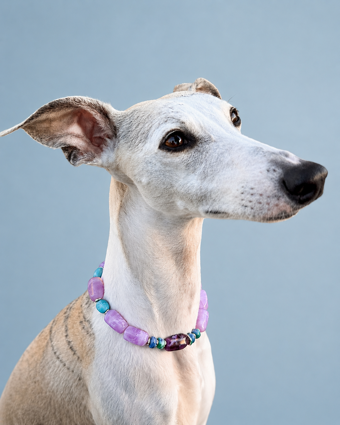 Pet Necklace