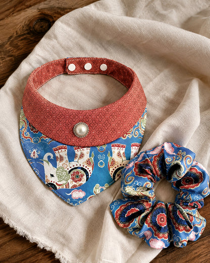Royal Blue Pet & Owner Matching Set