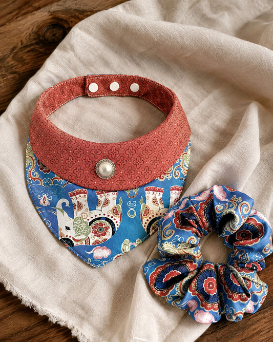 Royal Blue Pet & Owner Matching Set