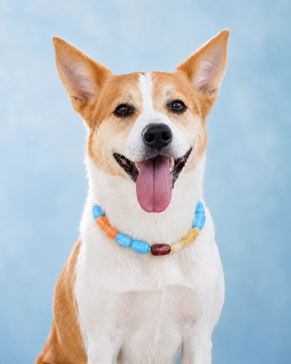 Pet Necklace