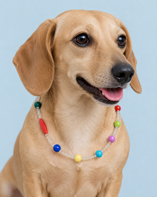 Rainbow Pop Beaded Pet Necklace