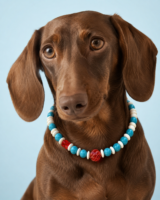 Lollipop Beaded Pet Necklace