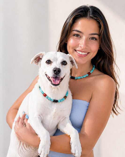 Matching Pet & Owner Beaded Accessory Set – Nomad Sky