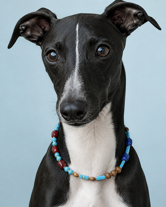 Matching Pet & Owner Beaded Accessory Set – Lake Blue