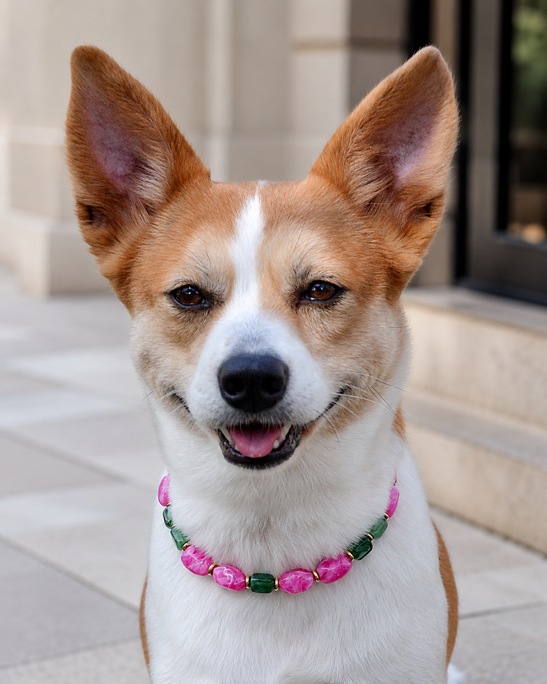 Pet Necklace