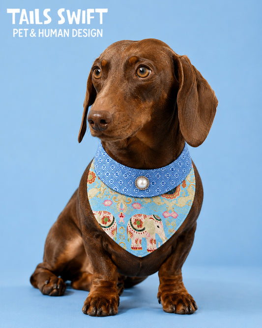 ✨Matching Pet Bandanas & Scrunchies - Light Blue Chinese Style Pet Collar