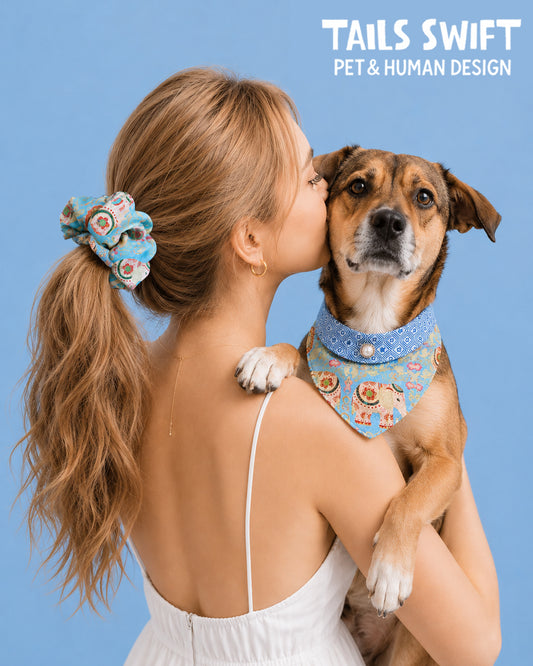 ✨Matching Pet Bandanas & Scrunchies - Light Blue Chinese Style Pet Collar
