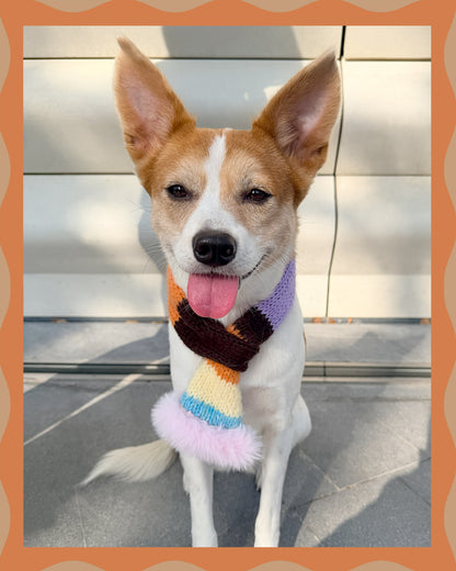 ✨Matching Pet & Owner Skinny Knit Scarves — Handmade Autumn Stripe(Mohair blend)