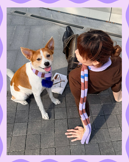 ✨Matching Pet & Owner Skinny Knit Scarves — Handmade Lavender Stripe(100% Premium Cashmere)