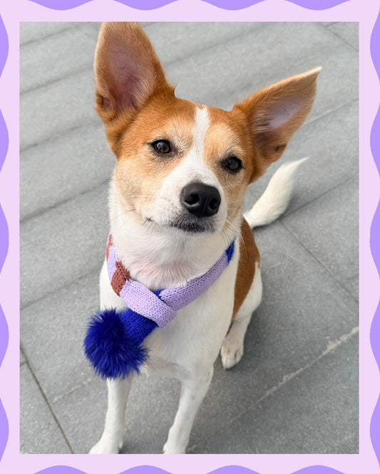 ✨Skinny Knit Pet Scarf – Handmade Lavender Stripe(100% Premium Cashmere)