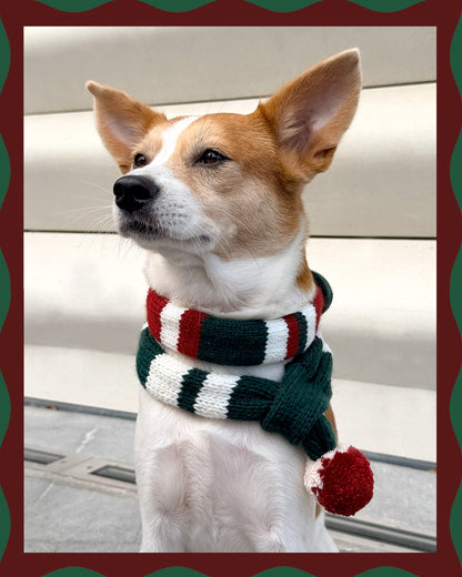 ✨Matching Pet & Owner Skinny Knit Scarves — Handmade Christmas(100% Premium Cashmere)