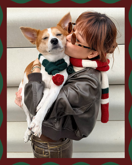 ✨Matching Pet & Owner Skinny Knit Scarves — Handmade Christmas(100% Premium Cashmere)