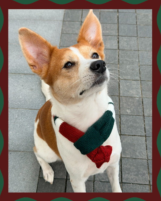 ✨ Skinny Knit Pet Scarf – Handmade Christmas(100% Premium Cashmere)