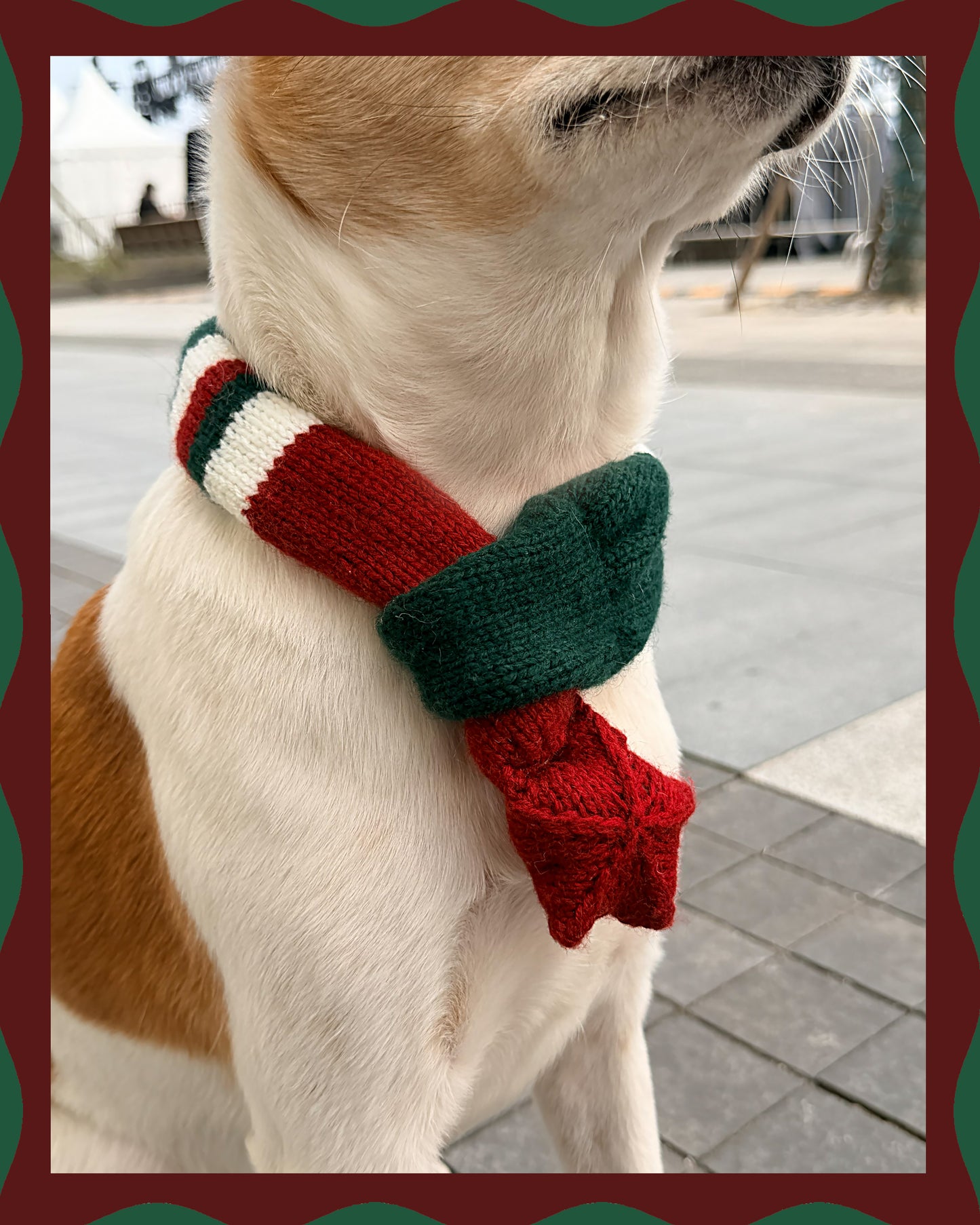 ✨Matching Pet & Owner Skinny Knit Scarves — Handmade Christmas(100% Premium Cashmere)